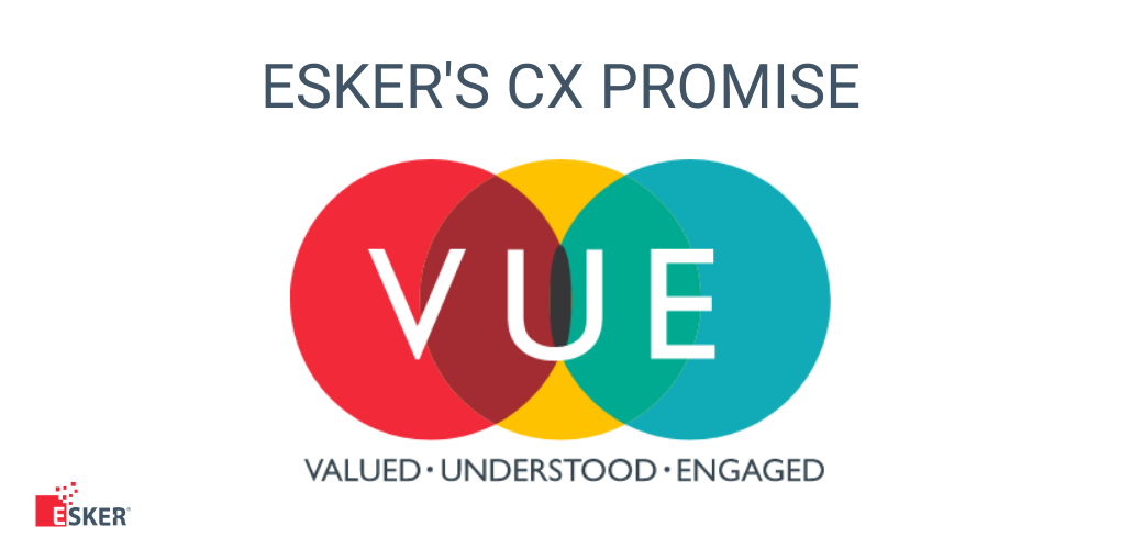 Valuing customer experience when selecting a solution provider, Esker support team