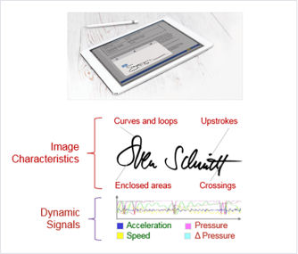 Image characteristics of a person's signature